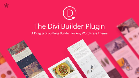 Divi Builder v4.17.3 - Drag & Drop Page Builder Plugin
